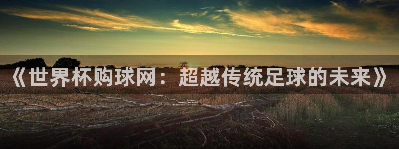 今年的世界杯:《世界杯购球网:超越传统足球的未来》
