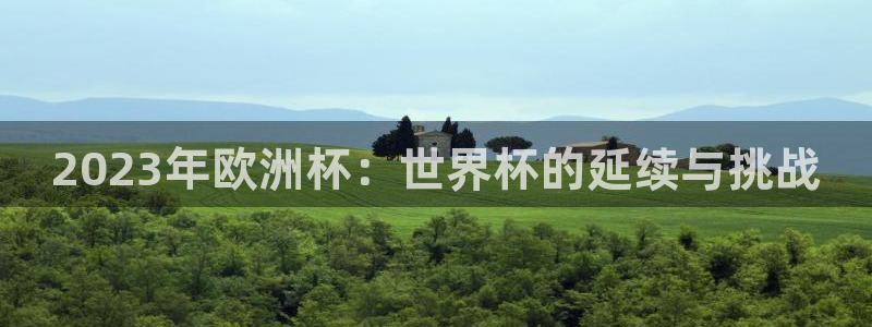 预选赛世界杯:2023年欧洲杯:世界杯的延续与挑战