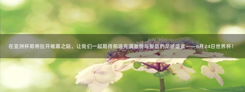 世界杯直播免费观看:在亚洲杯即将拉开帷幕之际,让我们一起期待那场充满激情与智慧的足球盛宴——6月24日世界杯!