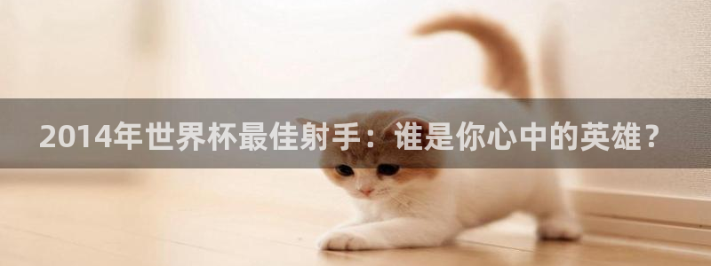 世界杯赛程时间表:2014年世界杯最佳射手:谁是你心中的英雄?