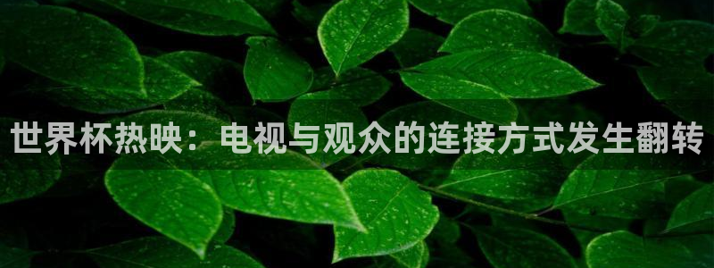 2026世界杯中国队:世界杯热映:电视与观众的连接方式发生翻转