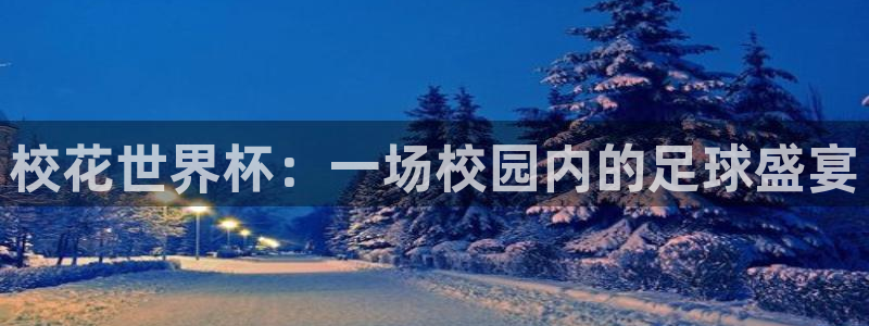 2026世界杯倒计时:校花世界杯:一场校园内的足球盛宴