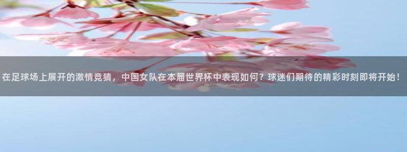 世界杯预选赛赛程表:在足球场上展开的激情竞猜,中国女队在本届世界杯中表现如何?球迷们期待的精彩时刻即将开始!